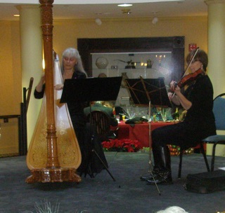 Harp and violin music Chicago suburbs Glen Ellyn, Naperville, Hinsdale